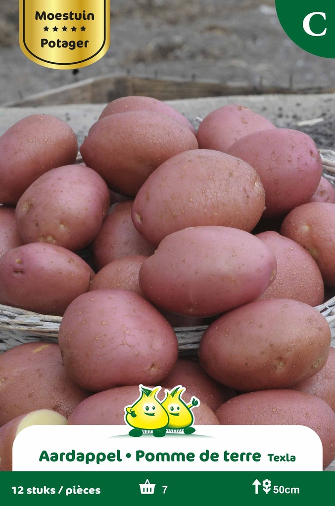 [AATEXLA] POMME DE TERRE TEXLA