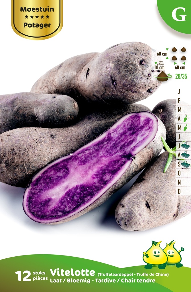 [AAVITELO] Aardappel Vitelotte
