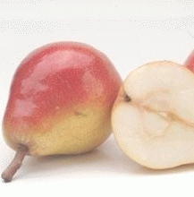 POIRE 'CLAPP'S FAVOURITE'