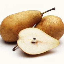 POIRE 'TRIOMPHE DE VIENNE'