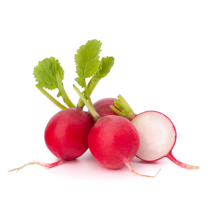 RAMMENAS ZWART (WINTER) Raphanus sativus