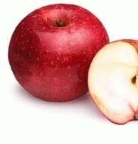 POMME 'STERAPPEL'