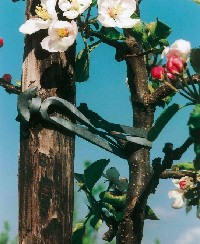 Tree-fix 6cm/4mm