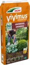 VIVIMUS DCM