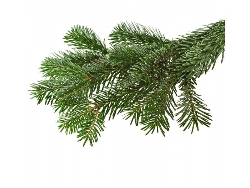 KERSTGROEN