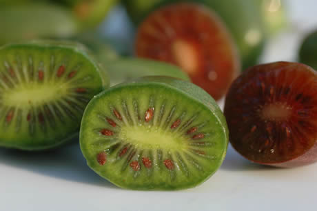 KIWAÏ 'ISSAI'