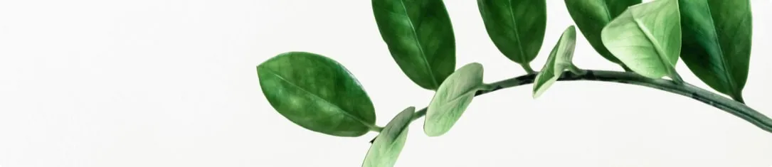 Planten